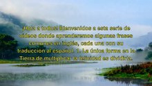 "Frases Comunes en Ingles: Reflexiones sobre la Vida, el Amor y la Aventura"