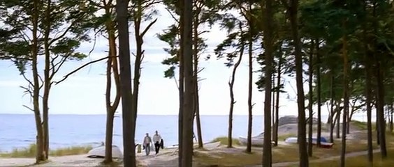 Wallander - Mastermind (S01E06)