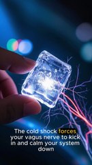 Vagus Nerve Reset for Panic Attacks