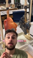 Faire le ménage abîme les poumons