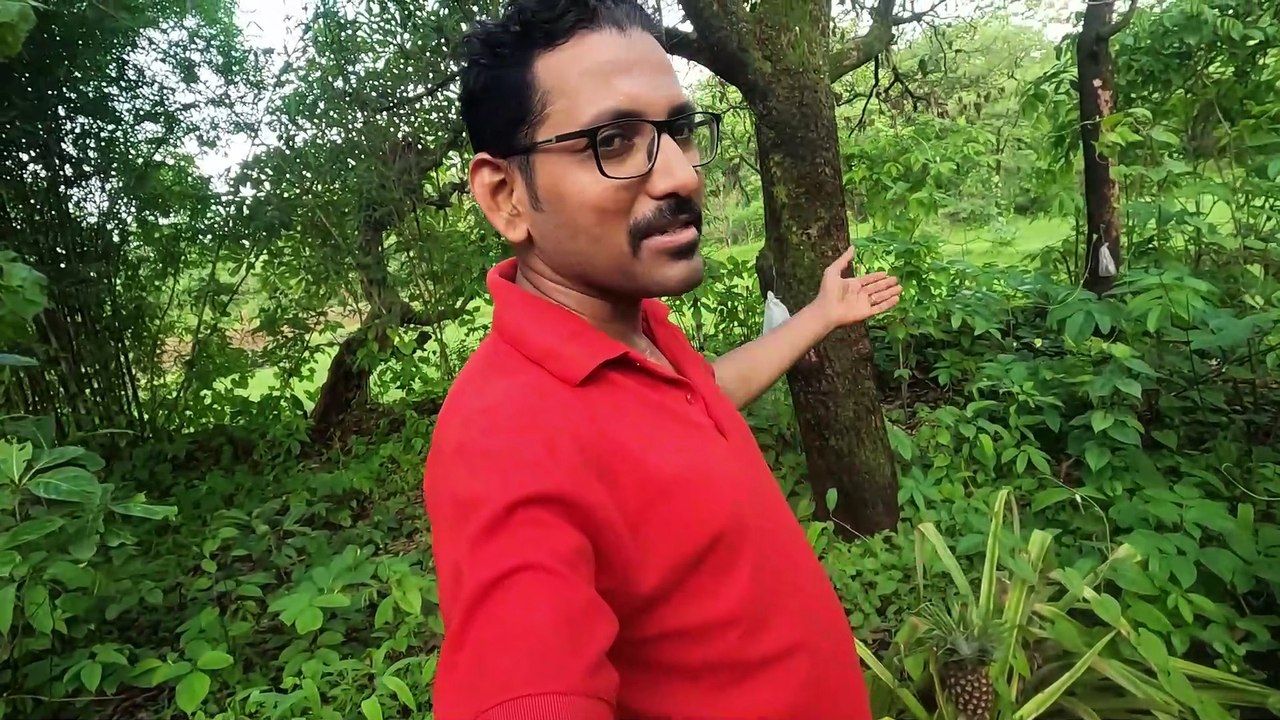माझ्या गावाचे परसाव आणि परसावतील बाग Konkan village Ratnagiri