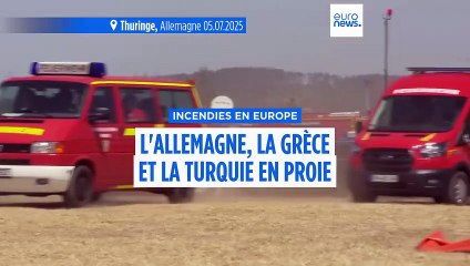Les pompiers continuent de lutter contre des feux de forêt en Allemagne, en Grèce et en Turquie