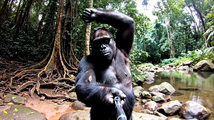 Prompt Rahasia Gemini Veo 3: Video AI Jadi Nyata & Halus!