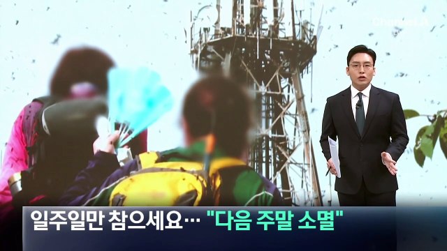 러브버그, 일주일만 참으세요…“다음 주말 소멸”