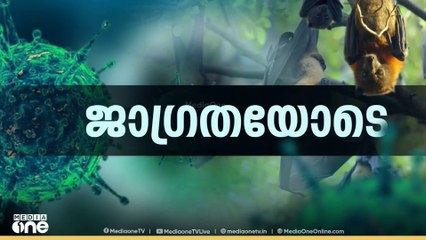 നിപയിൽ ആശ്വാസം; രോഗലക്ഷണമുള്ള 3 കുട്ടികളുടെ പ്രാഥമിക പരിശോധനാഫലം നെഗറ്റീവ്