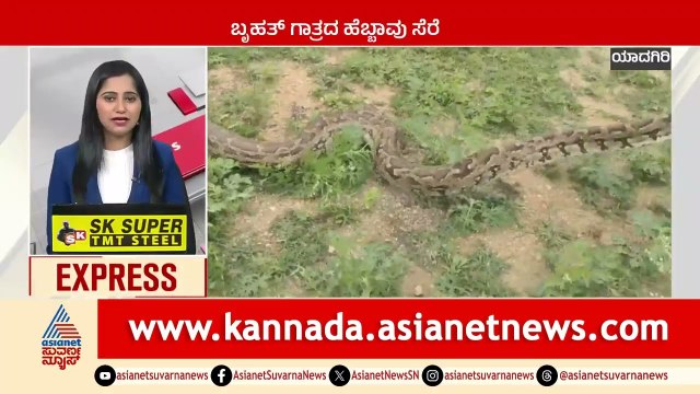ಬೃಹತ್ ಗಾತ್ರದ ಹೆಬ್ಬಾವು ಸೆರೆ | Karnataka News Express | Suvarna News | Kannada News