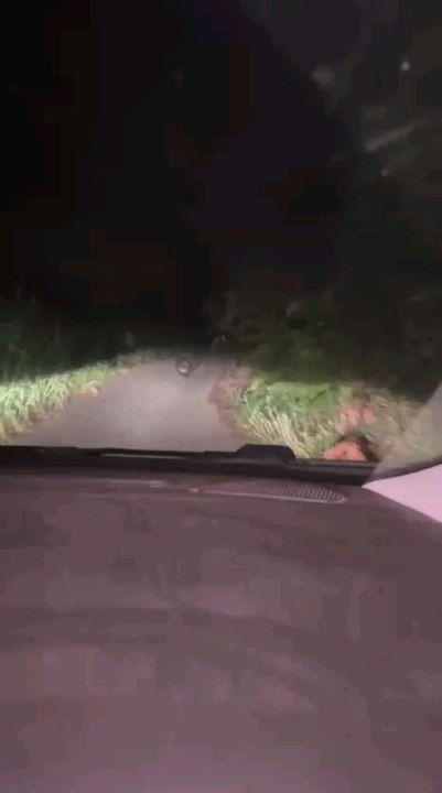 Ecco il mio ultimo video