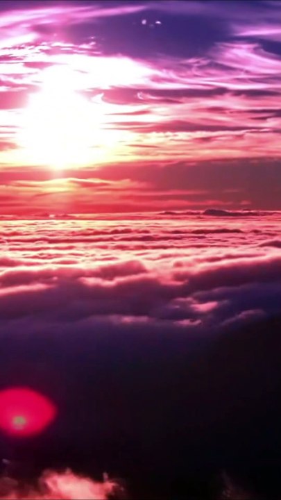 Para onde vão as aves (Where Do the Birds Go) - Sérgio Lopes #musicaevangelica #gospelmusic #jesus #louvores #sergiolopes #paraondevaoasaves