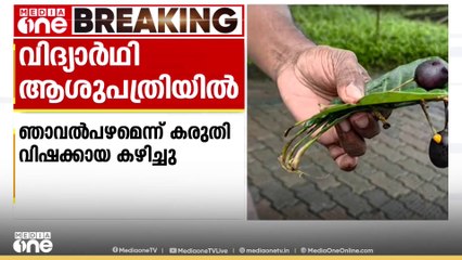 ഞാവൽപ്പഴമെന്ന് കരുതി വിഷക്കായ കഴിച്ച വിദ്യാർത്ഥിയെ ആശുപത്രിയിൽ പ്രവേശിപ്പിച്ചു