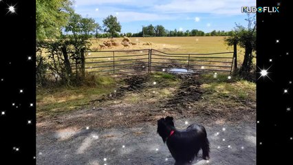 2 - concours juin 2025