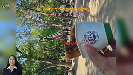 Review Nami& Alpaca& Petite France& Railbike& Morning Calm& Light Festival