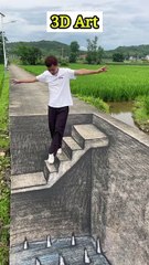 Hilarious 3D Art Prank Man & Buffalo Fooled by Optical Illusion!