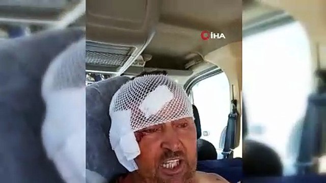 Antalya'da aslan saldırısına uğrayan çiftçi nasıl kurtulduğunu anlattı