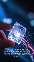 Vagus Nerve Reset for Panic Attacks