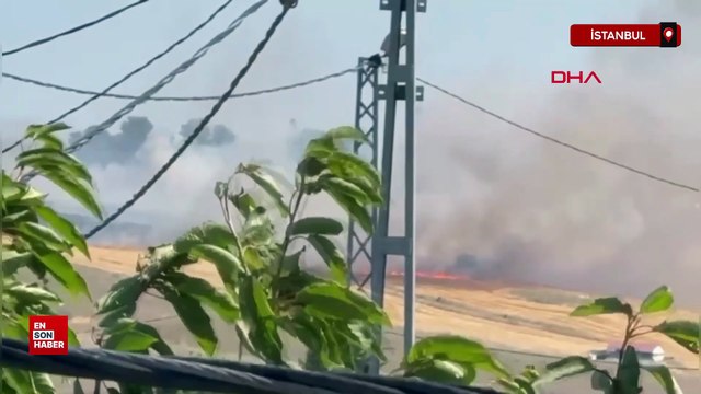 Arnavutköy’de tarlada çıkan yangına, vatandaşlar hortumla müdahale etti