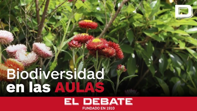 Más de mil especies cultivadas por profesores y estudiantes forman un mosaico botánico en Cantabria