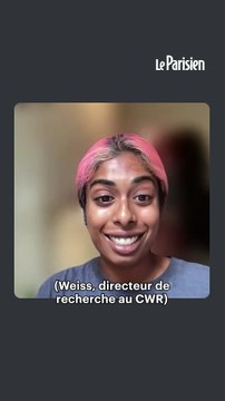 Des orques filmées en train de fabriquer des « outils »