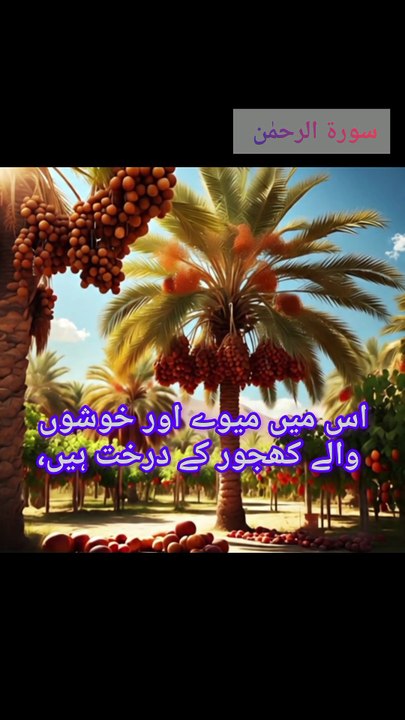 Surah Ar Rahman Urdu translation 💗 first 40 verses 💗 Beautiful Quran Recitation