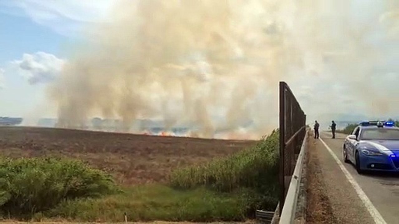 Grosseto, incendio vicino alla Statale 223: minacciate anche le case