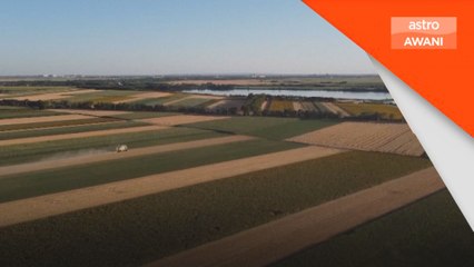 Gelombang haba jejas sektor pertanian Serbia, musnahkan hasil tuaian