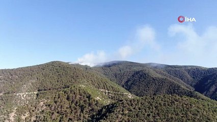 İki ilin sınırında çıkan orman yangını havadan görüntülendi