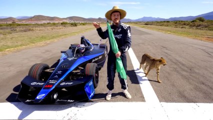 "World’s Fastest Car Vs Cheetah 🏎️🐆 | $500,000 Extreme Race Challenge"