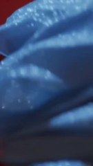 Animals video kids cartoon characters  candrala