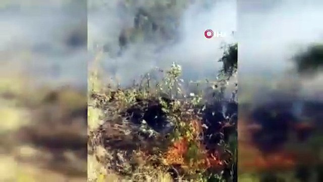 Zonguldak’ta çıkan yangında 7 dönümlük karaçam ormanı zarar gördü