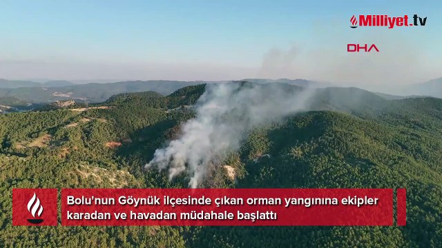 Bolu'da orman yangını! Ekipler havadan ve karadan müdahale ediyor