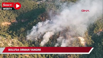 Bolu'da orman yangını: Müdahale ediliyor