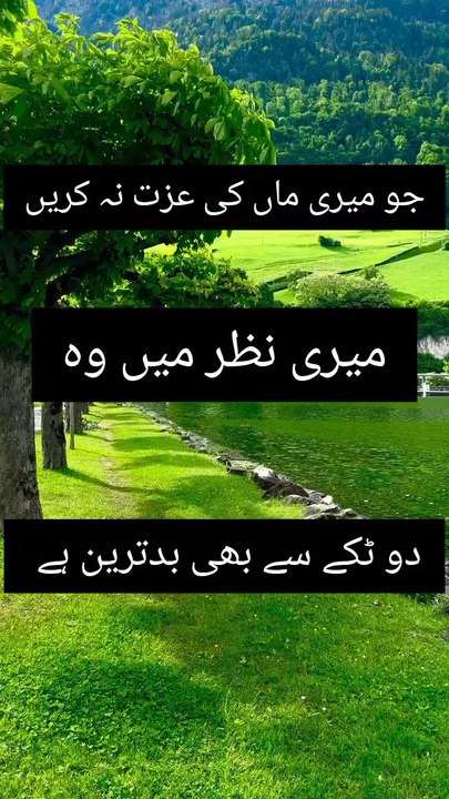 Nice wards