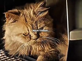 தளபதி விஜயின் மாஸ் சீன்கள் 🔥 | ஹைலைட்ஸ் | வீக் 1 வைரல் வீடியோ 2025