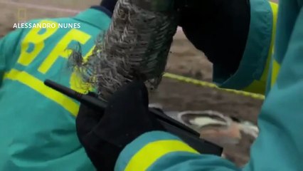 Mayday Desastres Aéreos - INTERFERÊNCIA NO VOO