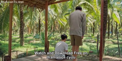 Knock Out Episode 10 with English Subtitles – Watch Now! 🥊