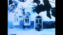 Vladislav Starewicz - The Cameraman's Revenge (1911) - Full film - Stopmotion