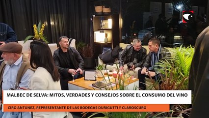 Malbec De Selva: mitos, verdades y consejos sobre el consumo del vino