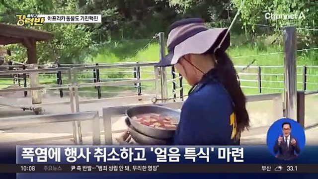 [돌직구 강력반]사막여우도 지쳤다…동물원 폭염 비상