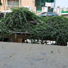 Nature’s magic unfolds!  #ViralMoment #TrendingNow #Good #ExploreNature #WildlifeGoals #ReelItFeelIt #ContentKing