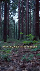 They Only Move When You Don’t: A Thrilling 4th of July Escape 🚪