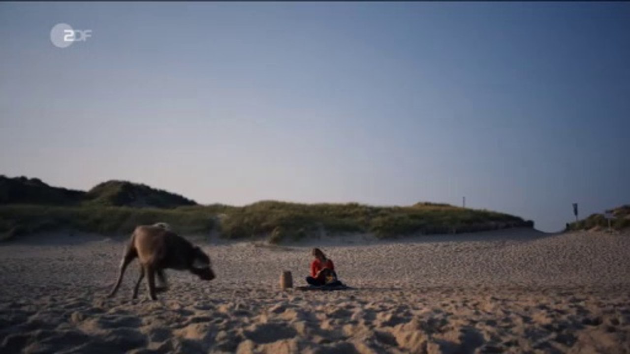 Nord Nord Mord -03- Clüvers Geheimnis