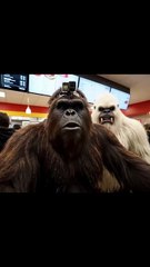 NYC is crazy bro.. we about to go back to the mountains #bigfoot #yeti #bigfootboys #bigfootboyz #nyc #fries