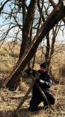 2 day Survival & Building Tree Shelter part 1.