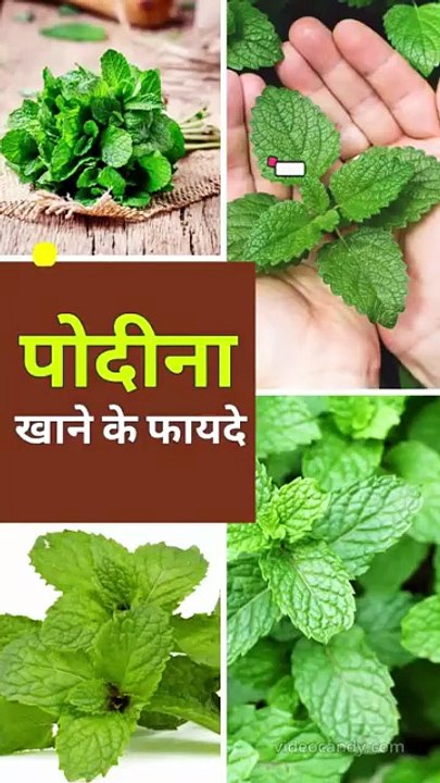 Health Benefits of Mint Leaves