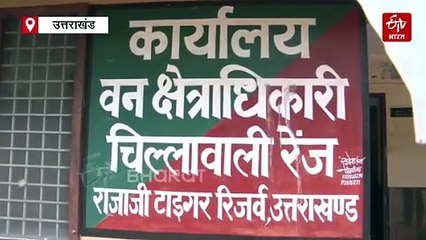 राज्य के हर डिवीजन में स्थापित होगा गौरा देवी स्मृति वन, ये है वन महकमे का प्लान