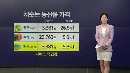 장바구니·펄펄 끓는 바다·배터리주의보...폭염이 불러온 것들 [앵커리포트] / YTN