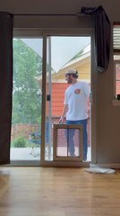 German Shorthaired Pointer Slams Into Doggy Door During Jump Attempt