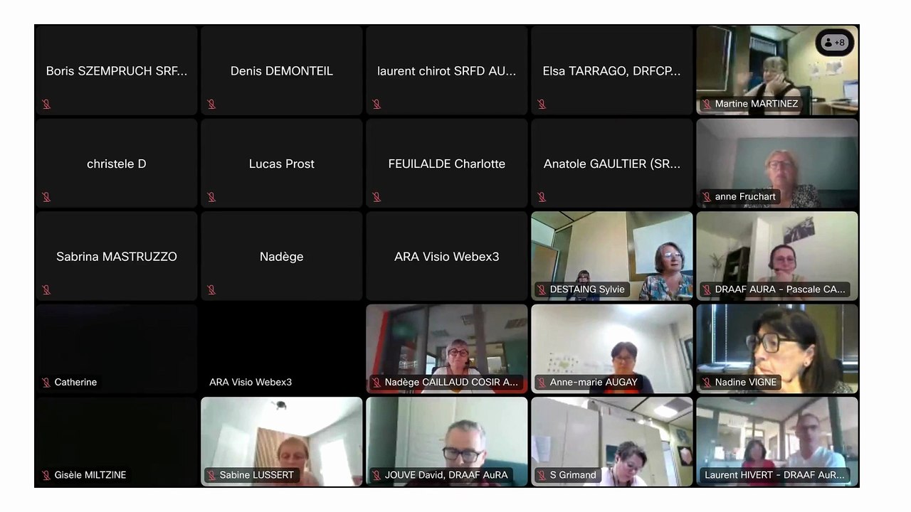 Webinaire de présentation d'un outil facilitant l'archivage des fichiers inforamtiques