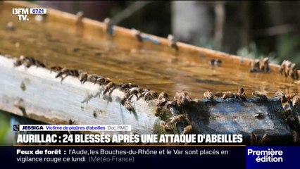 "Il y avait des gens qui criaient dans les rues": à Aurillac, 24 personnes ont été blessées après une attaque d'abeilles