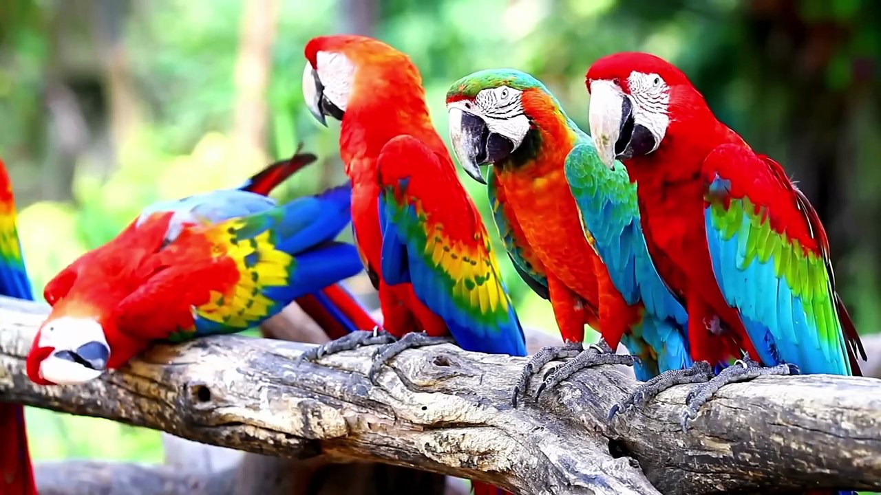 A million dollar invention that is easy to make! Every home needs it but no one makes it