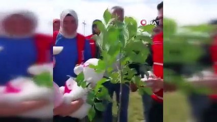 Tuana’nın fidan hayali gerçek oldu